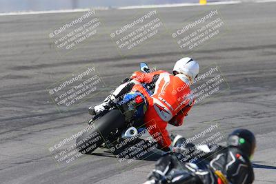 media/Feb-04-2024-SoCal Trackdays (Sun) [[91d6515b1d]]/4-Bowl Backside (11am)/